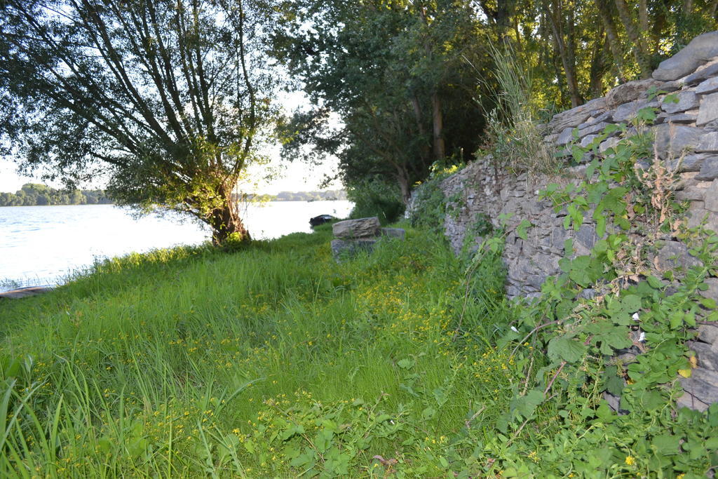 Gite Dagueloire La Dagueniere Exterior photo
